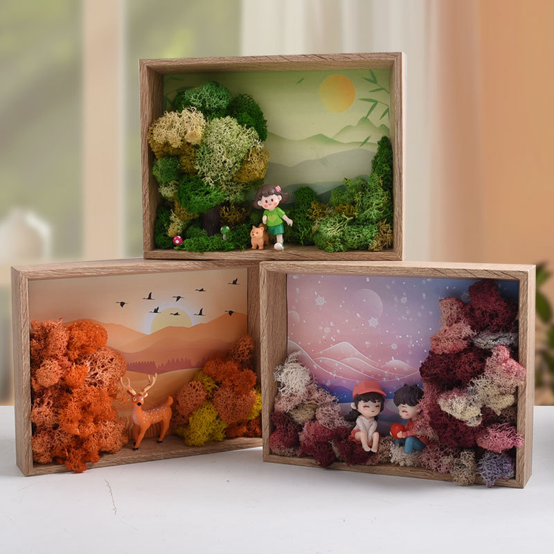 Seaweed Art DIY Kit - 3D Frame - Plant Parent Gift Set review and price