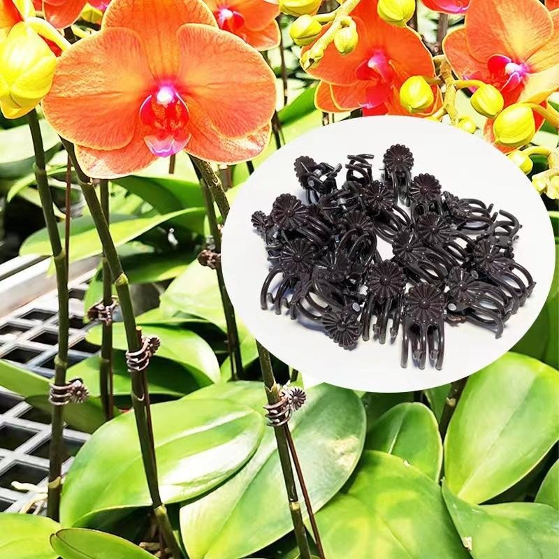Wholesale Mini Plant Support C - Plant Parent Tools review and price