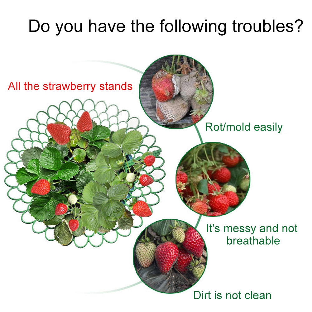 5/10PCS Strawberry Supports Wi - Plant Parent Tools review and price