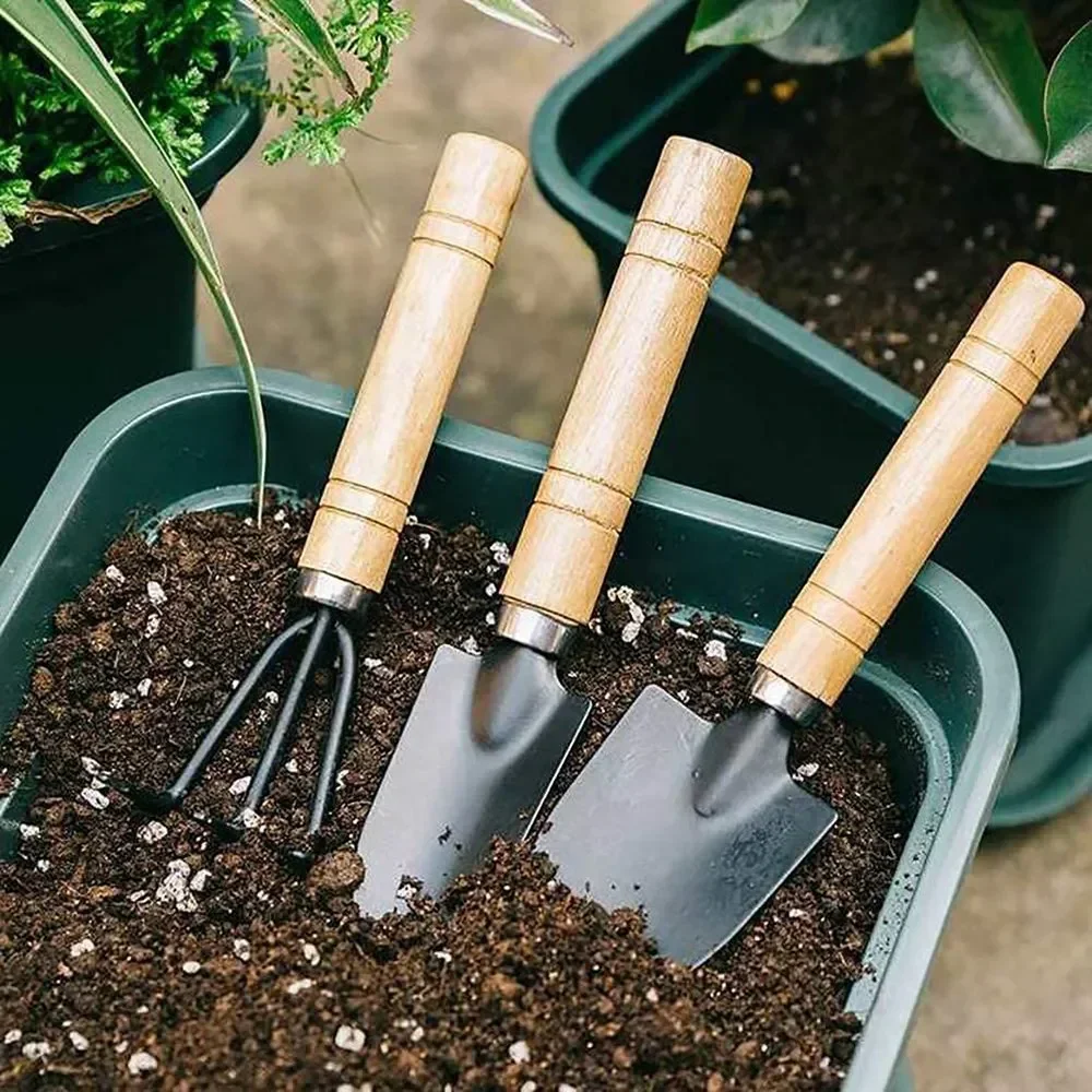 3Pcs/Set Mini Garden Tool Set  - Plant Parent Tools review and price