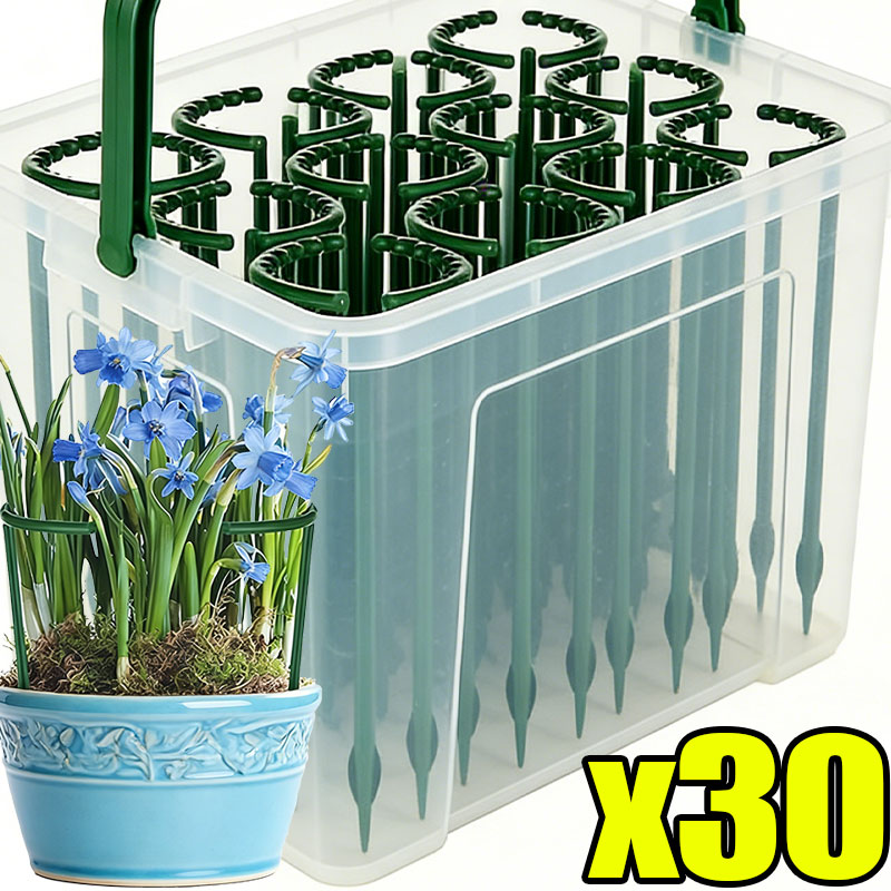 30-1PCS Plastic Plant Support  - Plant Parent Tools review and price