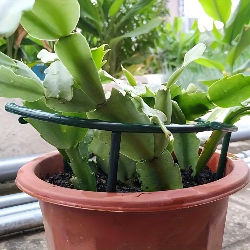 30-1PCS Plastic Plant Support  - Plant Parent Tools review and price