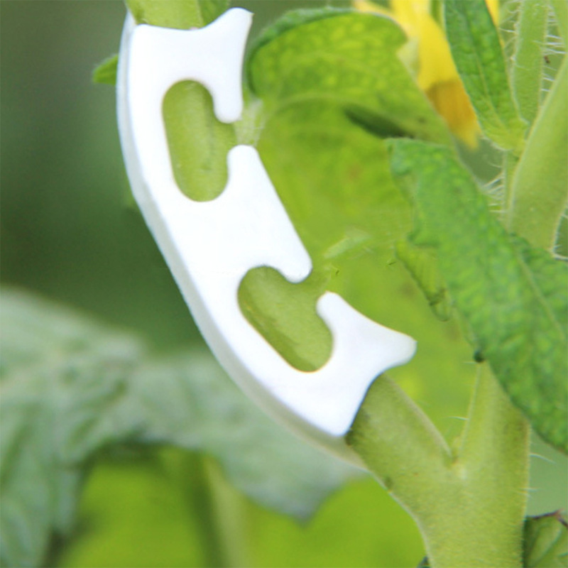 50/100pcs Botany-stem Vine Str - Plant Parent Tools review and price