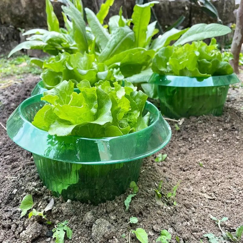 Plants Slug Protection Rings V - Plant Parent Tools review and price