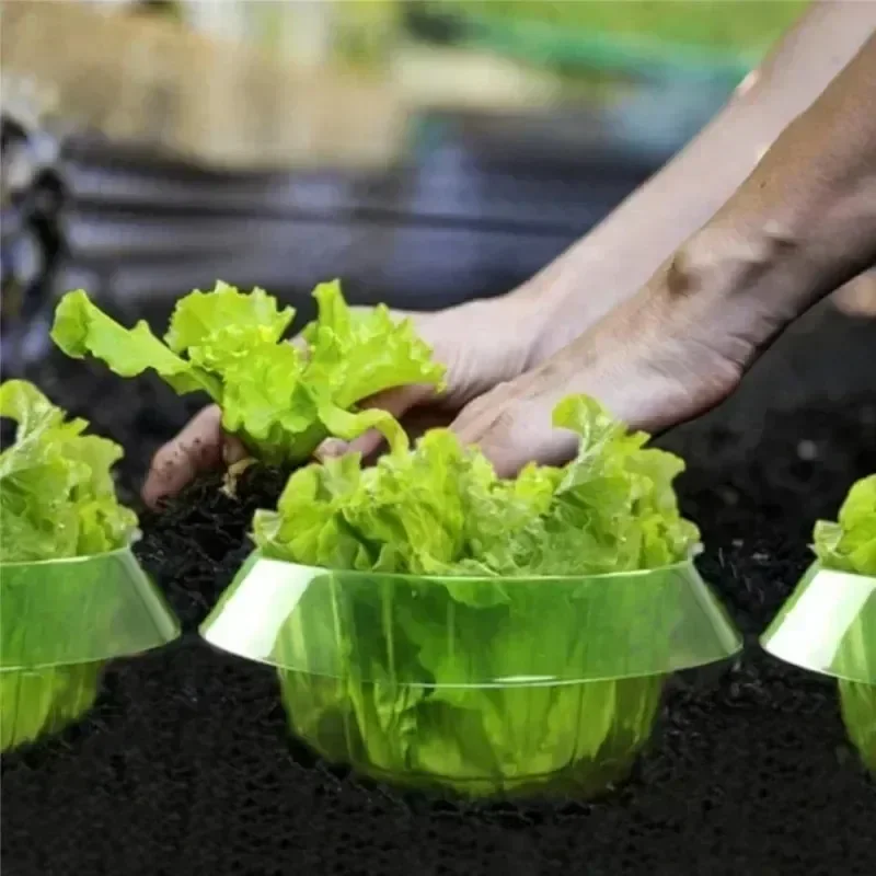 Plants Slug Protection Rings V - Plant Parent Tools review and price